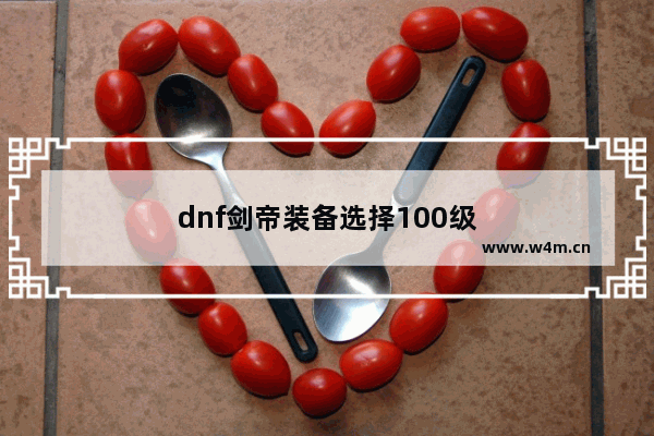 dnf剑帝装备选择100级