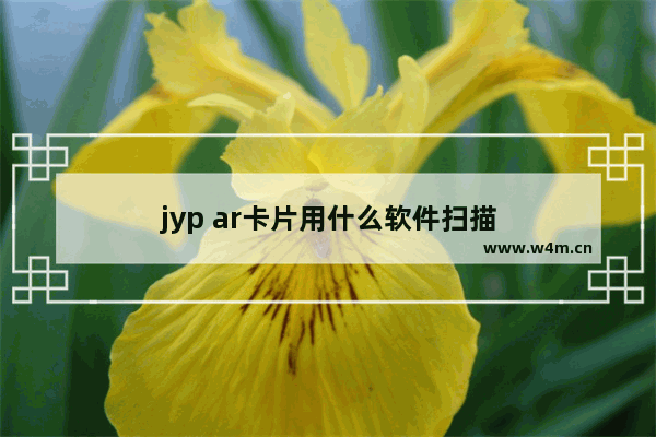 jyp ar卡片用什么软件扫描