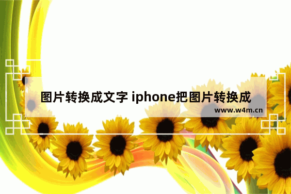 图片转换成文字 iphone把图片转换成文字