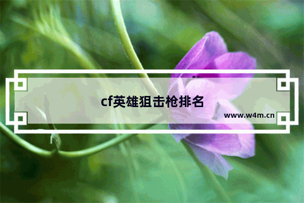 cf英雄狙击枪排名