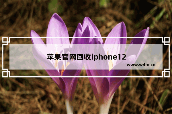 苹果官网回收iphone12