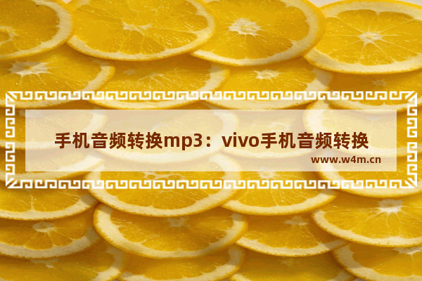 手机音频转换mp3：vivo手机音频转换mp3软件