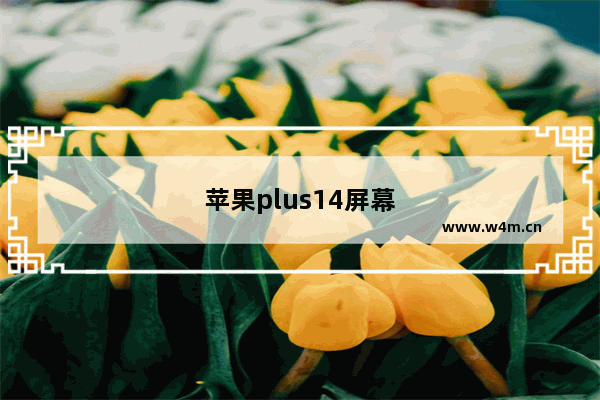 苹果plus14屏幕