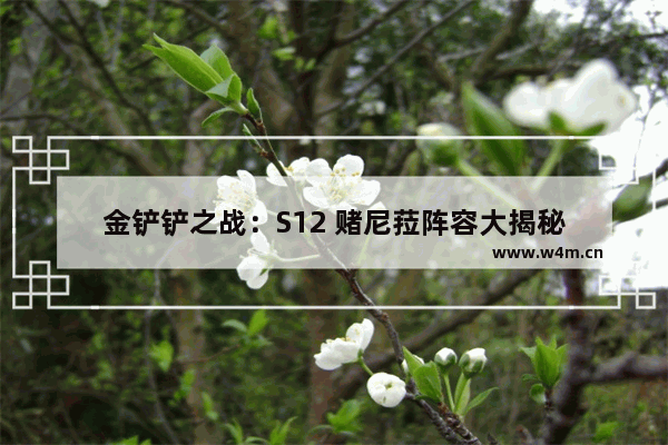 金铲铲之战：S12 赌尼菈阵容大揭秘