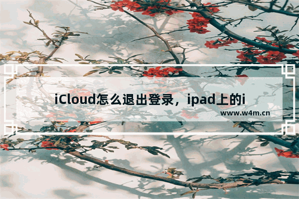 iCloud怎么退出登录，ipad上的icloud怎么退出登录