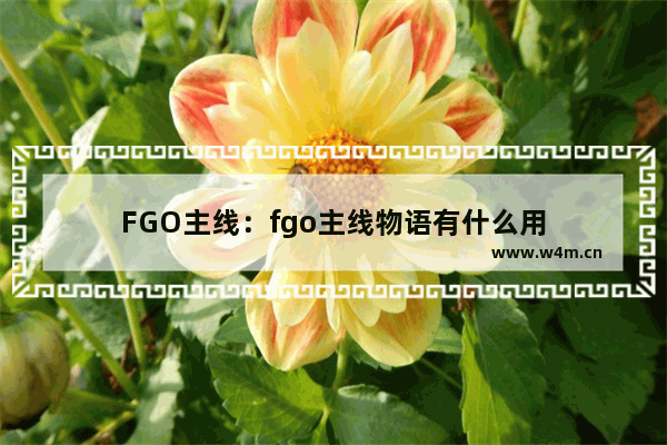 FGO主线：fgo主线物语有什么用