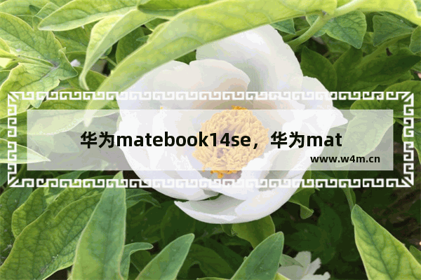 华为matebook14se，华为matebook14SE和13