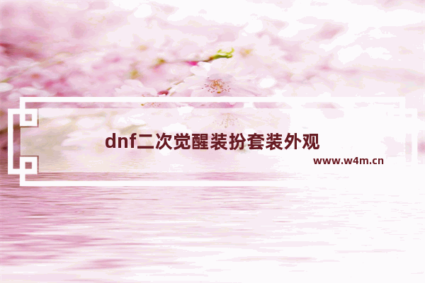 dnf二次觉醒装扮套装外观