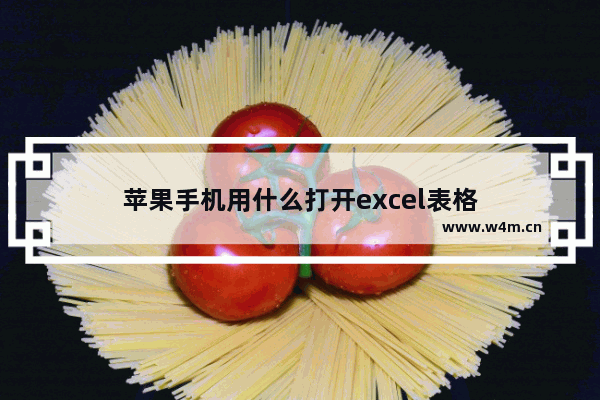 苹果手机用什么打开excel表格