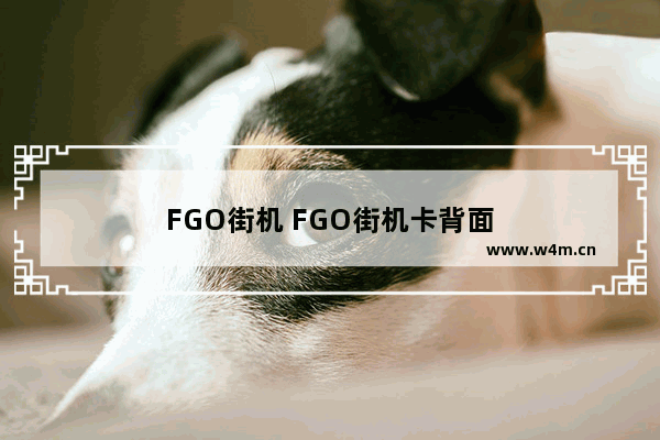 FGO街机 FGO街机卡背面