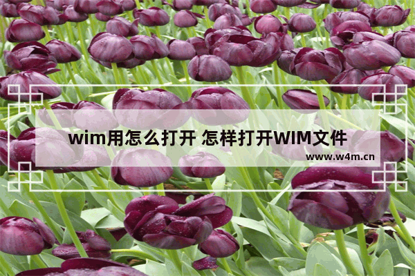 wim用怎么打开 怎样打开WIM文件