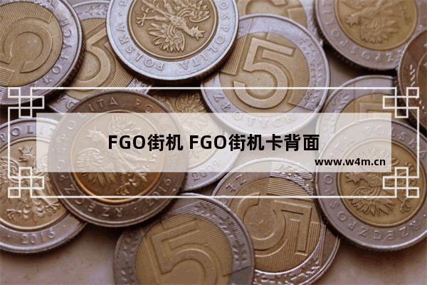 FGO街机 FGO街机卡背面