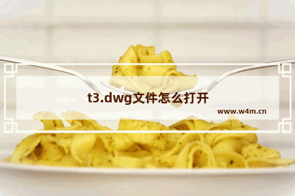 t3.dwg文件怎么打开