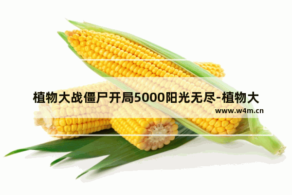 植物大战僵尸开局5000阳光无尽-植物大战僵尸开局5000阳光无尽草坪