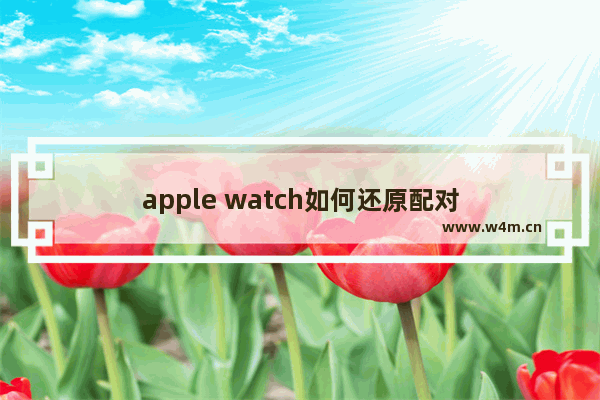 apple watch如何还原配对