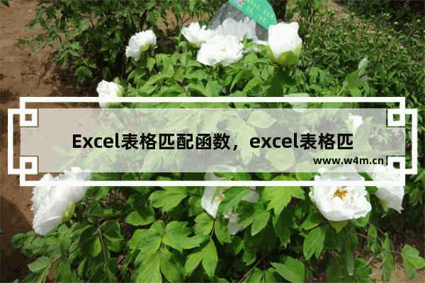 Excel表格匹配函数，excel表格匹配函数怎么用