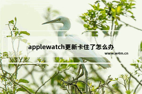 applewatch更新卡住了怎么办