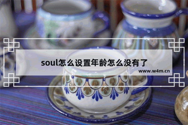 soul怎么设置年龄怎么没有了