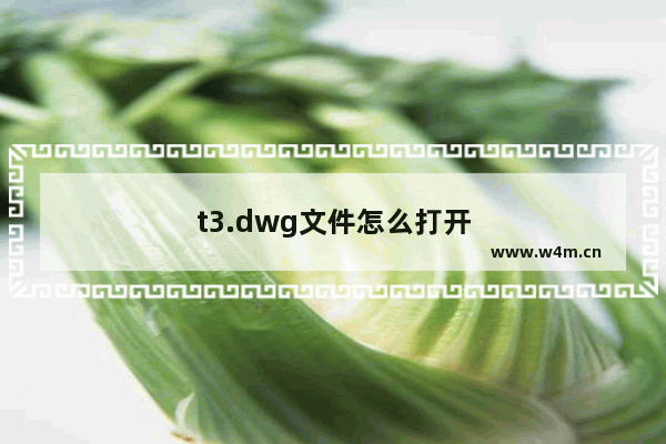 t3.dwg文件怎么打开