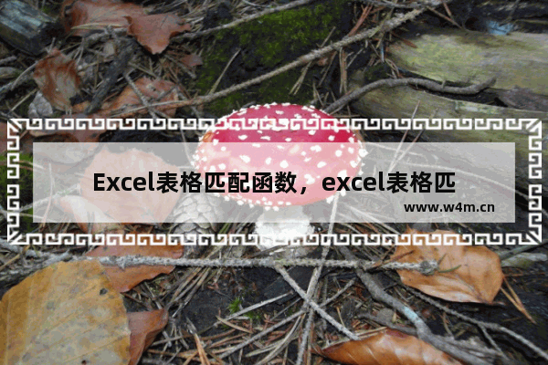 Excel表格匹配函数，excel表格匹配函数怎么用