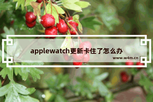 applewatch更新卡住了怎么办