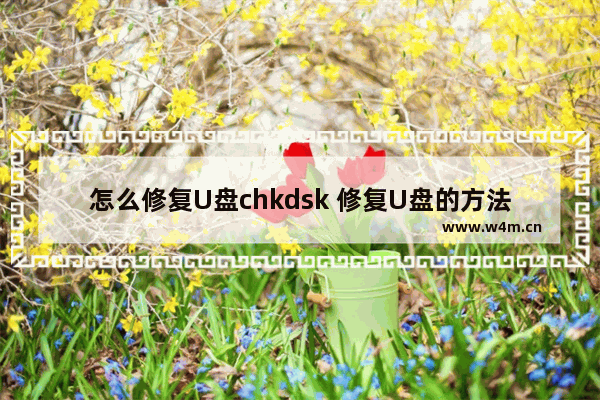 怎么修复U盘chkdsk 修复U盘的方法