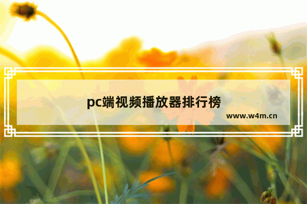 pc端视频播放器排行榜