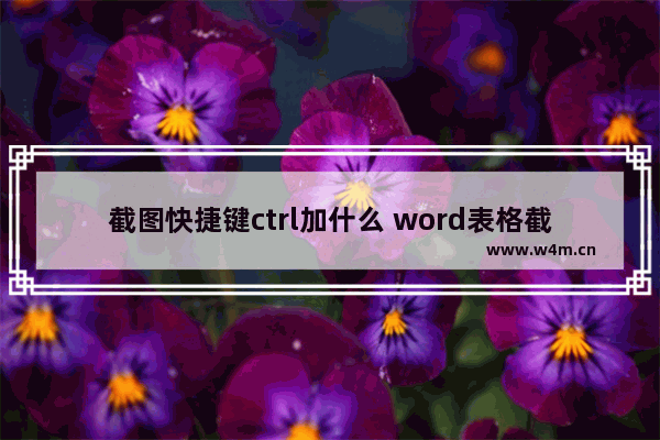 截图快捷键ctrl加什么 word表格截图快捷键ctrl加什么