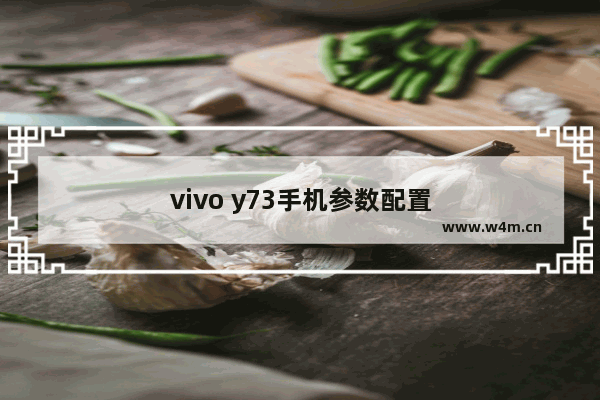 vivo y73手机参数配置