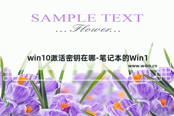 win10激活密钥在哪-笔记本的Win10激活密钥在哪