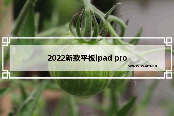 2022新款平板ipad pro