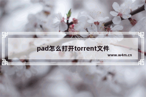 pad怎么打开torrent文件