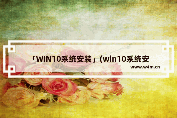 「WIN10系统安装」(win10系统安装在哪个盘会有什么文件)