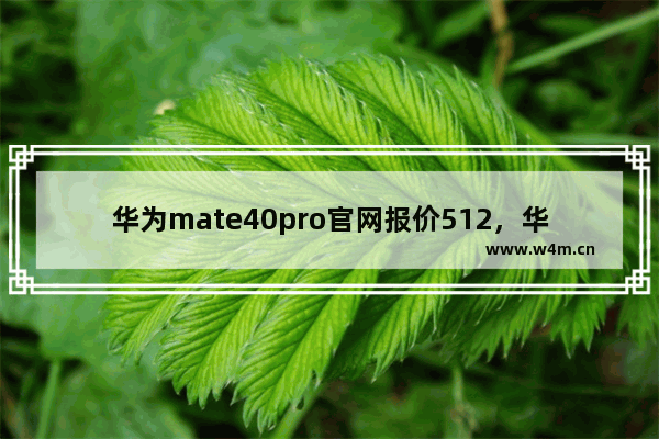 华为mate40pro官网报价512，华为mate40pro官网报价512G