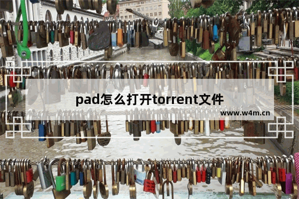 pad怎么打开torrent文件