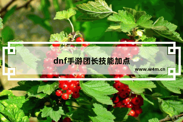 dnf手游团长技能加点