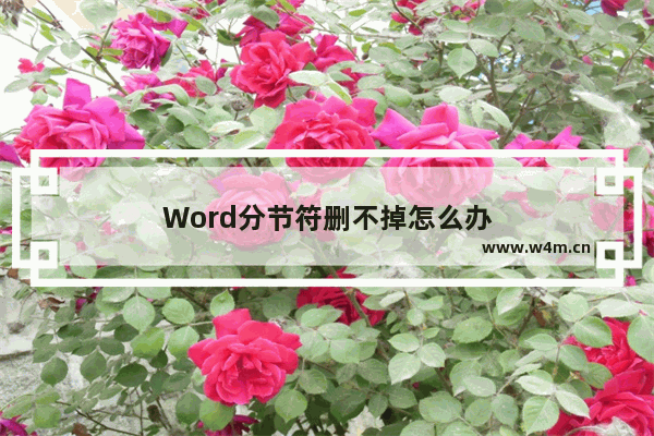 Word分节符删不掉怎么办