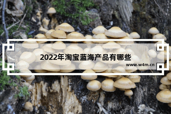 2022年淘宝蓝海产品有哪些