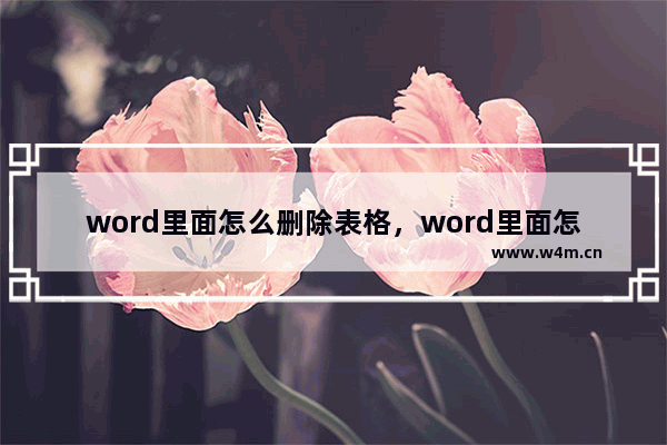 word里面怎么删除表格，word里面怎么删除表格边框