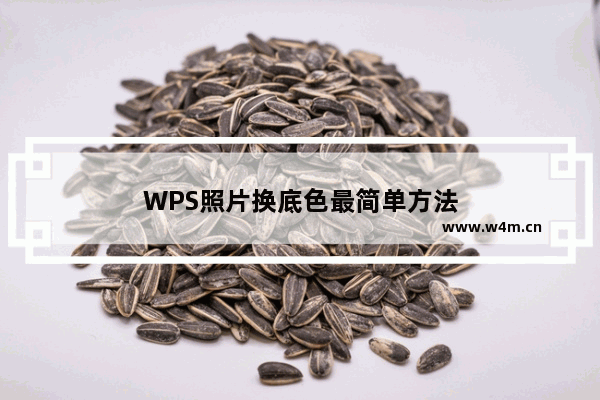 WPS照片换底色最简单方法