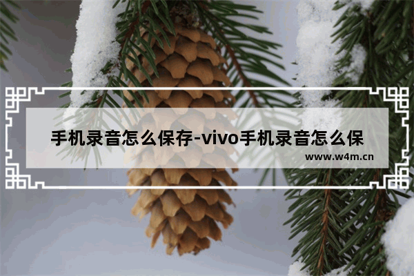 手机录音怎么保存-vivo手机录音怎么保存到本地音乐