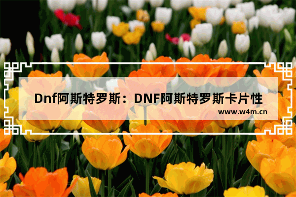 Dnf阿斯特罗斯：DNF阿斯特罗斯卡片性价比