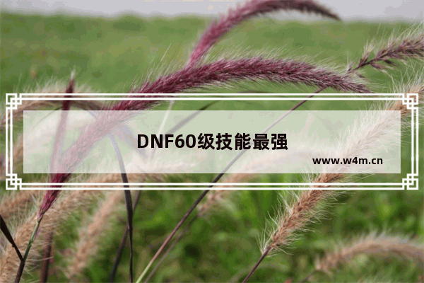 DNF60级技能最强