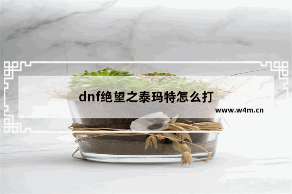 dnf绝望之泰玛特怎么打