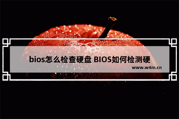 bios怎么检查硬盘 BIOS如何检测硬盘