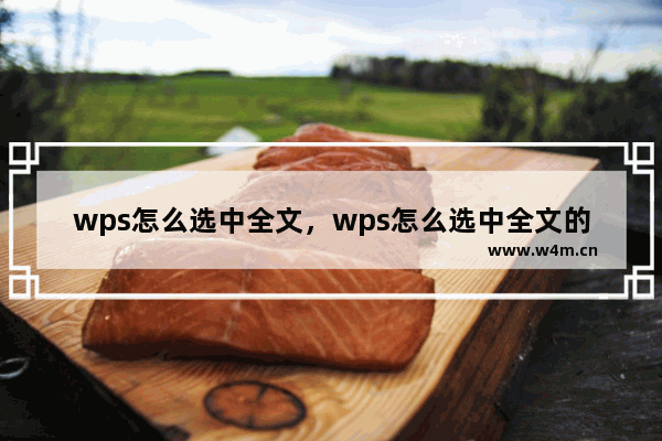 wps怎么选中全文，wps怎么选中全文的数字