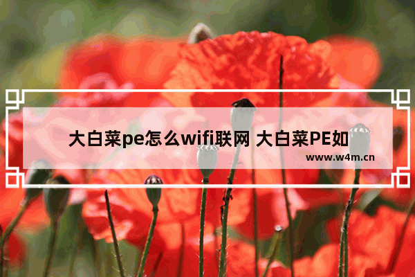 大白菜pe怎么wifi联网 大白菜PE如何通过WiFi联网