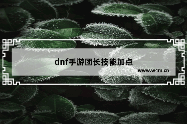 dnf手游团长技能加点