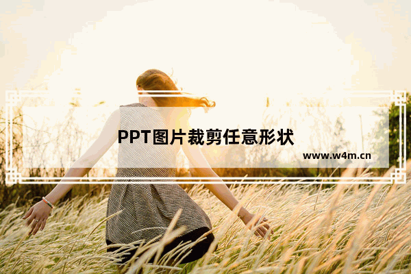 PPT图片裁剪任意形状