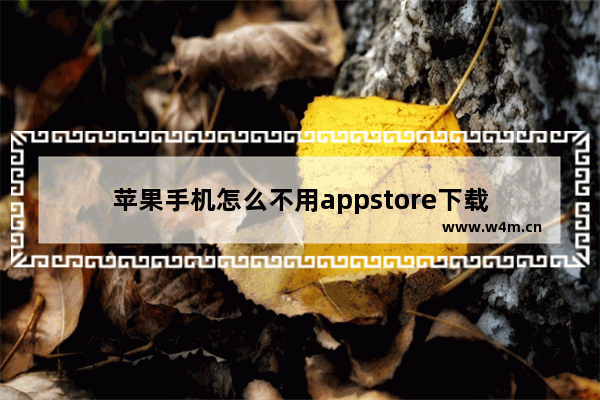 苹果手机怎么不用appstore下载